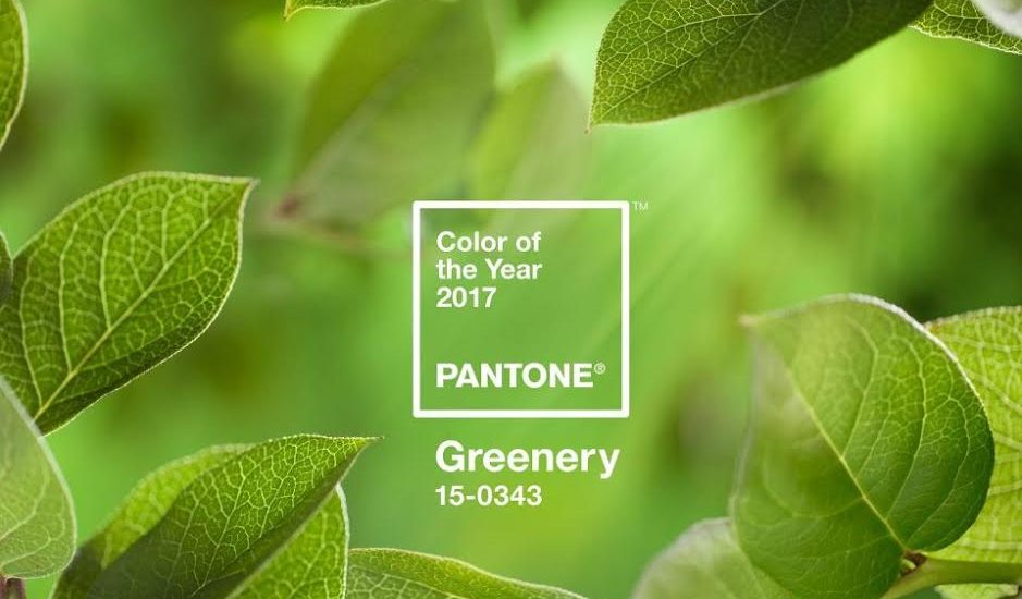 Green, the colour of year