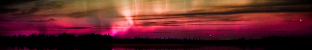 Aurora Artz