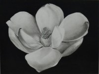 Sanrachana