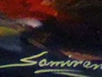 Samiran Sarkar