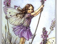 Fairies in my garden