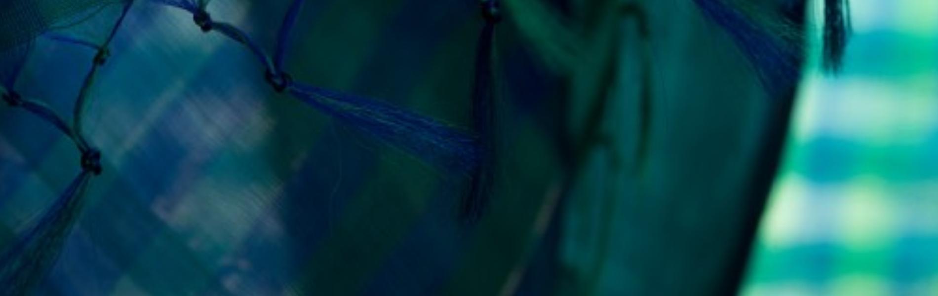 Ecoloom : Six yards