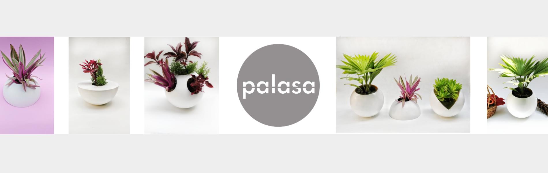 Palasa