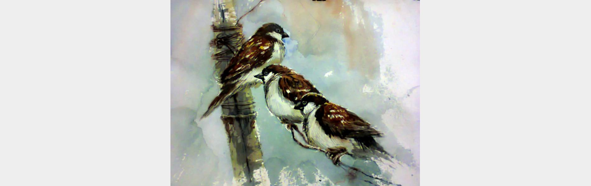Subhajit Paul