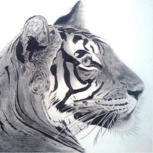 Wildlife Art by Ajay