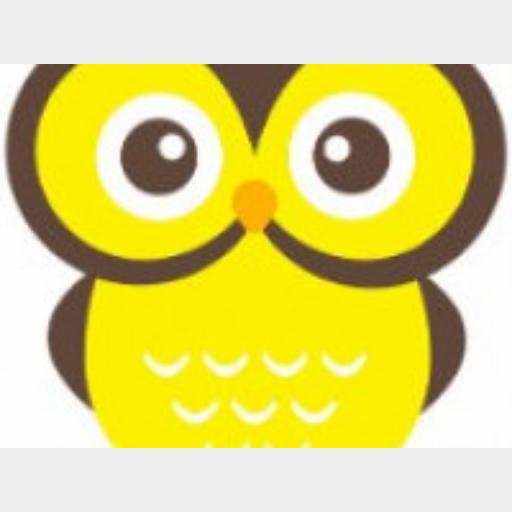 The Yellow Owl