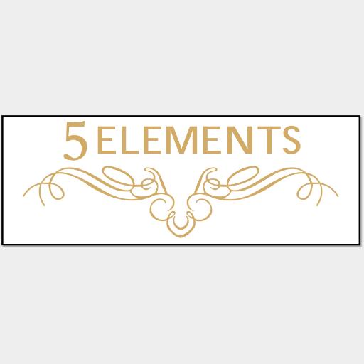 5 elements by Radhika Gupta