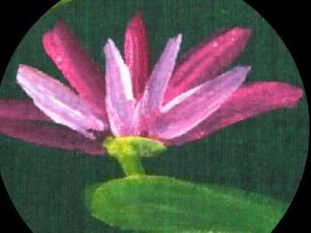 vendor image